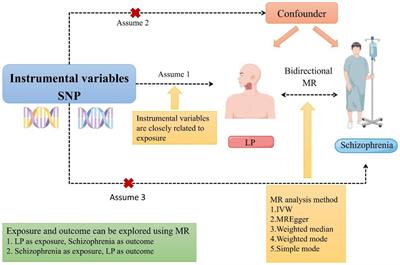 Correlations between schizophrenia and lichen planus: a two-sample bidirectional Mendelian randomization study